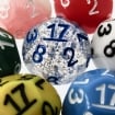 D17 Specialist Dice