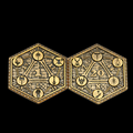 TDSO Metal Crit & Miss Character Class Golden D2 Dice Coin