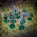 ArcKnight Flat Plastic Miniatures - Sylvan Guard Warband - 10 Minis