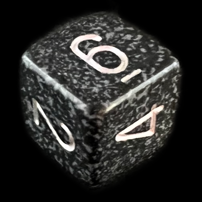 Chessex Speckled Ninja D6 Dice