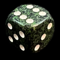 Chessex Speckled Recon 16mm D6 Spot Dice