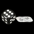 Crystal Caste Gem Clear MINI D6 Dice