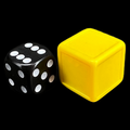 D&G Opaque Blank Sunflower Indented 19mm D6 Dice