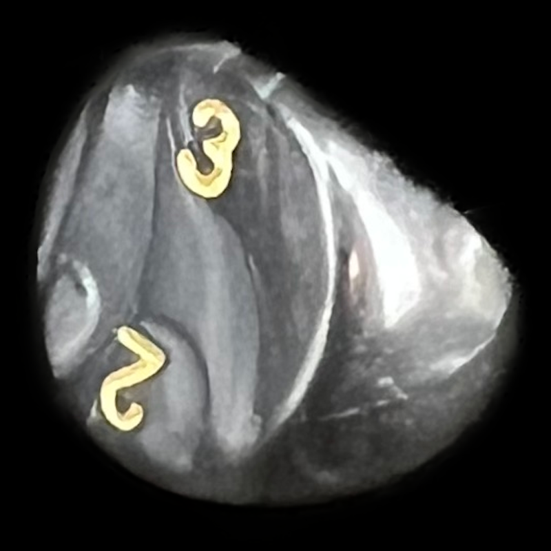 D&G Pearl Black & Gold D3 Dice