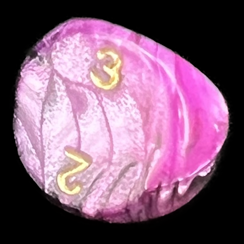 D&G Toxic Fallout Pink & Black D3 Dice