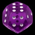 DodecaDice Double D6 Bright Gem Amethyst 12 Sided Spot D6 Dice