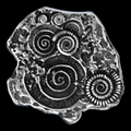 Dinosaur Forged Legendary Silver Coin