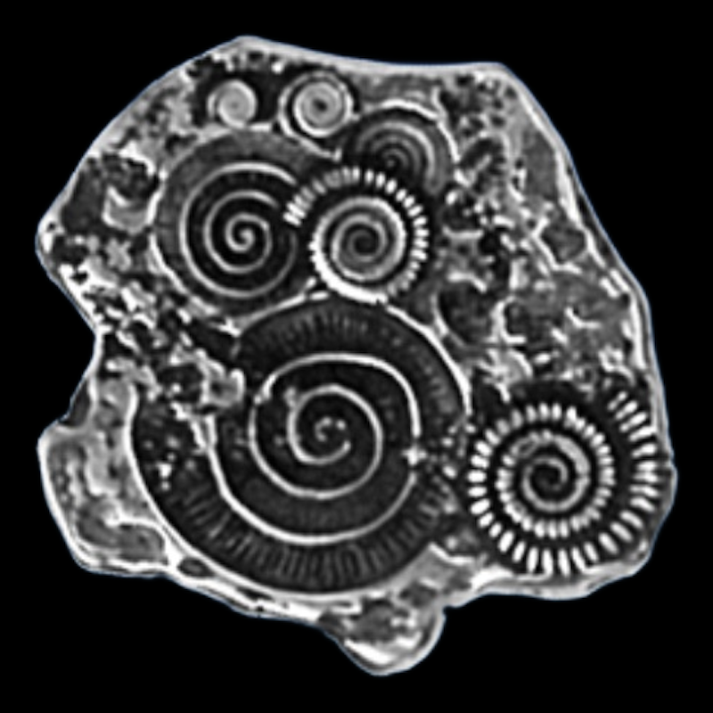 Dinosaur Forged Legendary Silver Coin