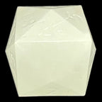 GameScience Glow in the Dark D24 Dice