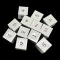 GameScience Opaque Slate & Black Ink 12 x D6 Dice Set
