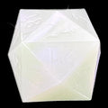 GameScience Permafrost D24 Dice