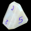 GameScience Permafrost & Purple Ink D5 Dice