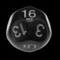 Impact Opaque Black & White D16 Dice