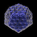 TDSO Metal Dragon Scale Purple & Blue D12 Dice