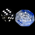 Role 4 Initiative Creatures & Classes Wizards Arcana D2 Coin Dice