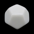 TDSO Opaque Blank White D12 Dice