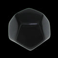 TDSO Opaque Blank Black D12 Dice