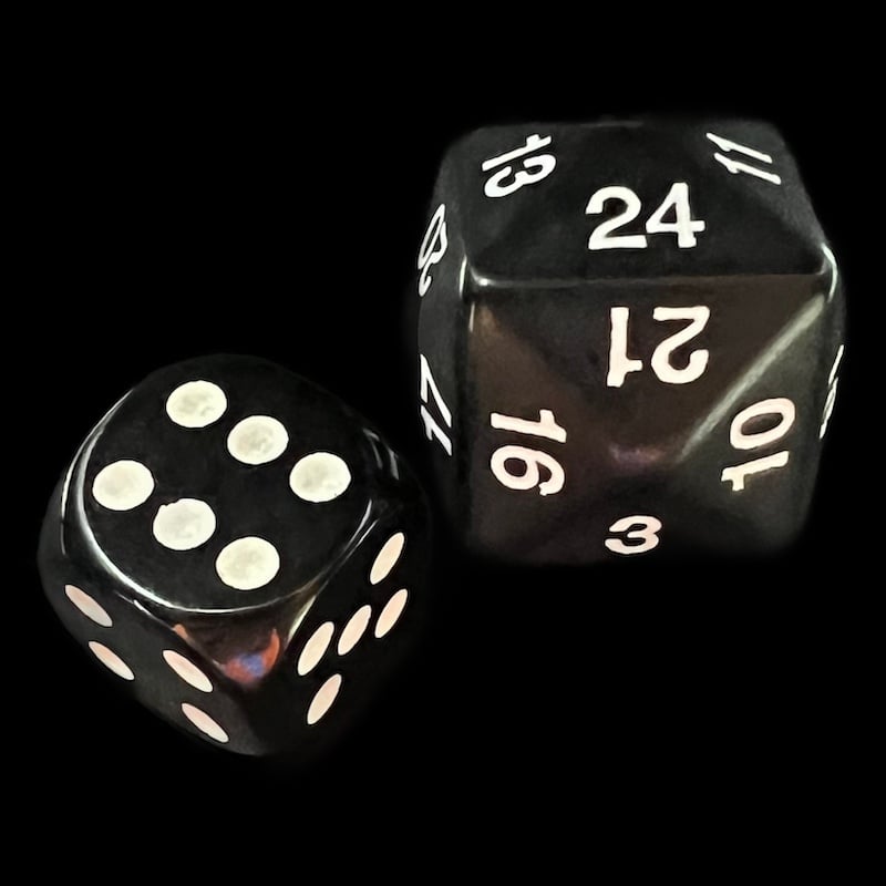 Koplow Opaque Black & White D24 Dice