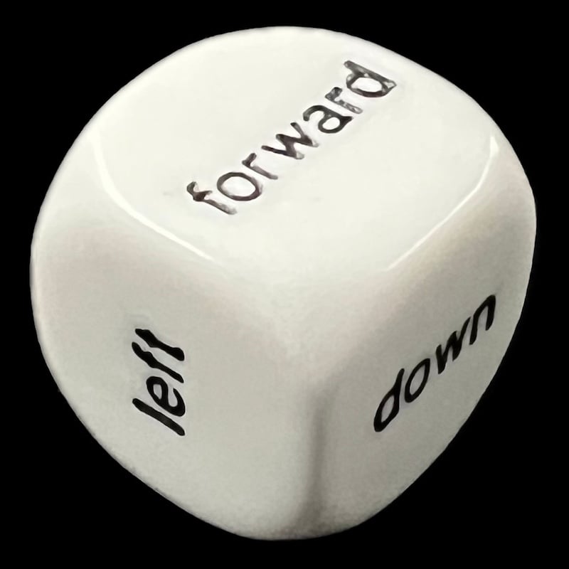 Koplow Opaque White Language - Direction D6 Dice