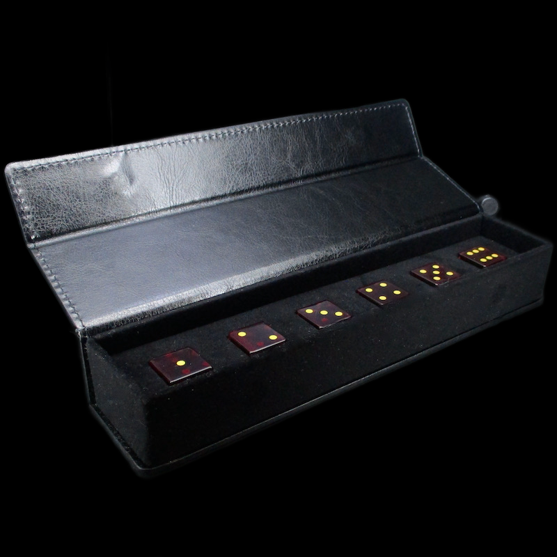 TDSO Black Leatherette Padded Dice Storage Case - 6 x D6 Dice
