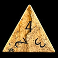 TDSO Gemstone Jasper Picture & Black D4 Dice