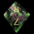 TDSO Gemstone Ruby IN Zoisite & Gold D8 Dice