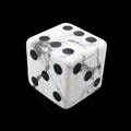 TDSO Gemstone Howlite White & Black D6 Spot Dice