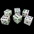 TDSO Gemstone Jade Xinjiang & Black 6 x D6 Spot Dice Set In Padded Case