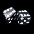 The Dice Lab Opaque Black & White Skew 2 x D6 Spot Dice