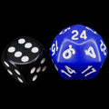 The Dice Lab Opaque Blue &amp; White Deltoidal D24 Dice