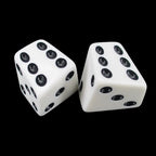 The Dice Lab Opaque White & Black Skew 2 x D6 Spot Dice