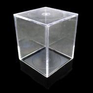 Medium Plastic Dice Cube